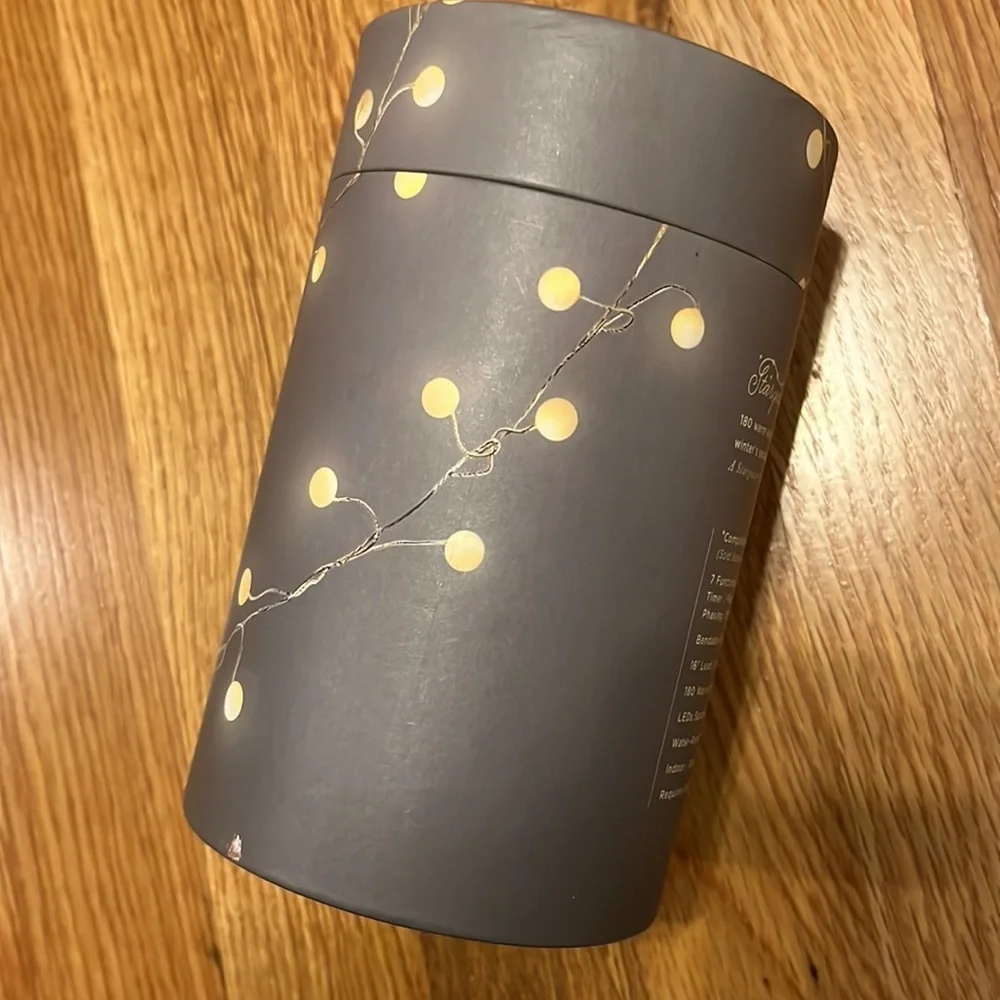 NWT Anthropologie Terrain Stargazer Snowberry Garland 15’